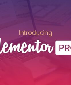 Download Elementor Pro WordPress Plugin