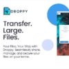 Droppy - Online file transfer and sharing