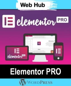 Elementor Pro With License Key (1 Year Update)
