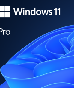 windows 11 pro key web hub shop