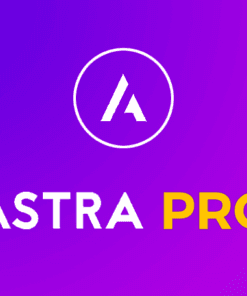 Astra Pro Addon Download