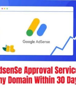 AdsenSe Approval Service Any Domain