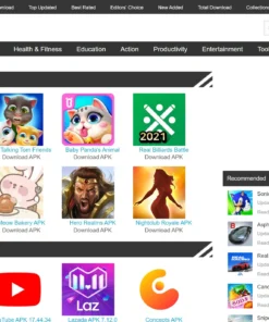 Apk Niche Website