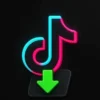 TikTok video downloader saves videos offline, often without watermarks for easy sharing.