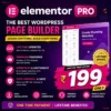 Elementor Pro Plugin (Lifetime Update)