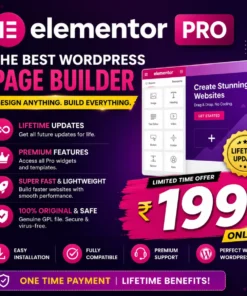 Elementor Pro Plugin (Lifetime Update)